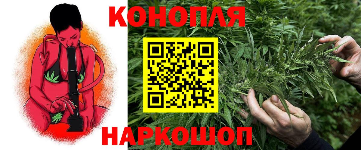 Каннабис индика Верхняя Пышма